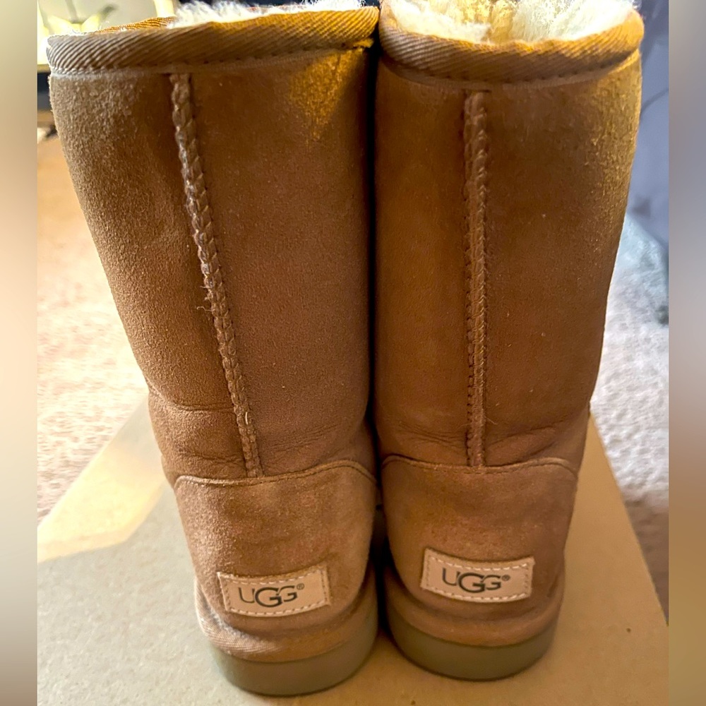 Short Classic Ugg Boots